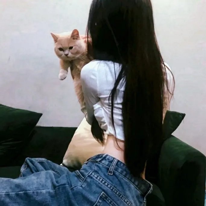 案中案