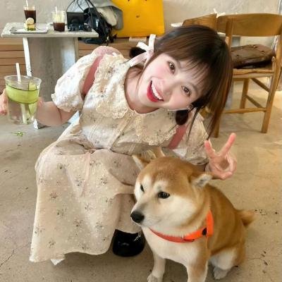老虎崛起